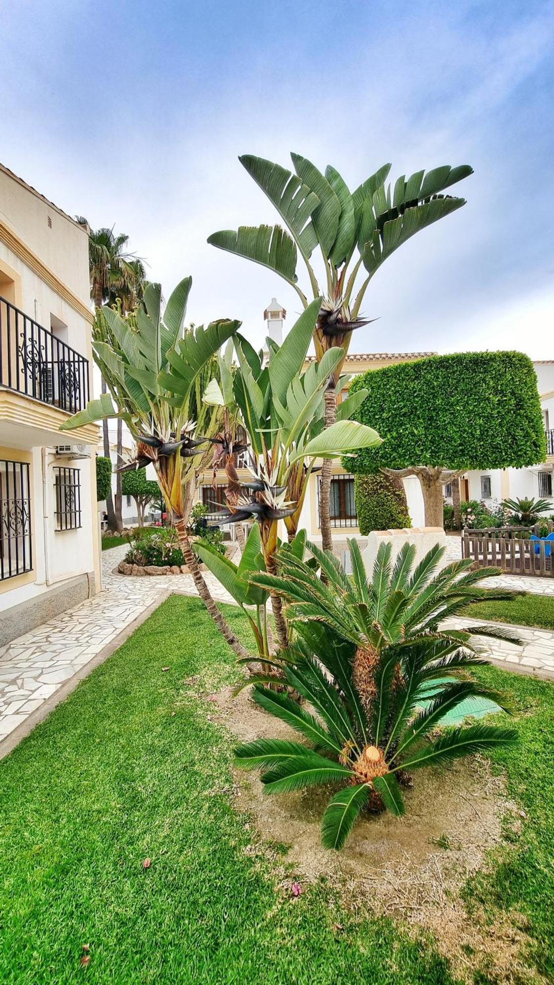 Apartamento Sol Y Mar Playas de Vera Exteriér fotografie